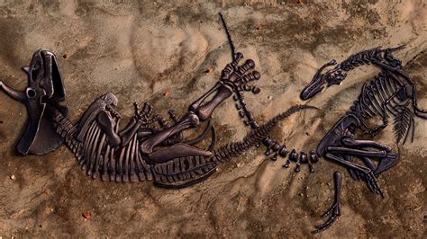 Magic in the Bones: Paleontology's Fascination with Ancient Life